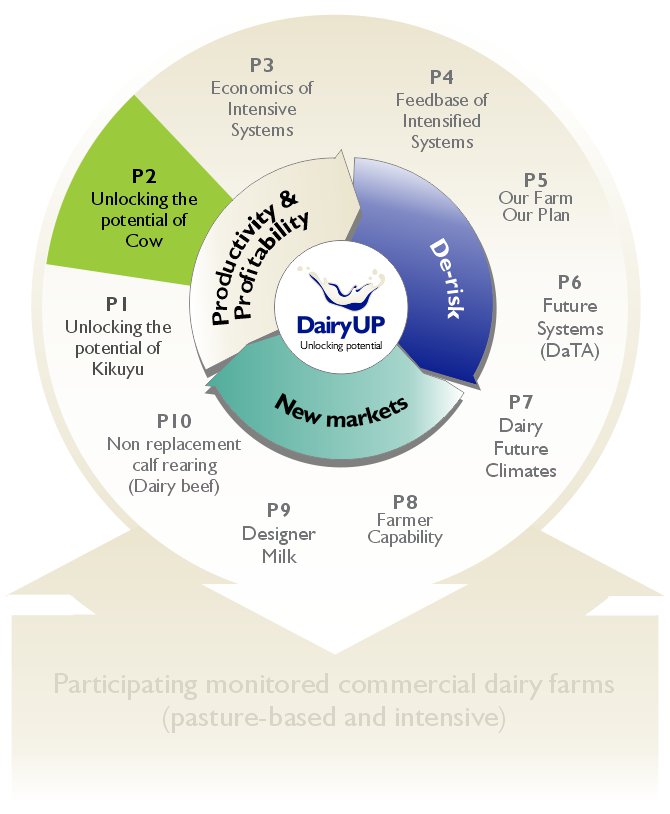 The Dairy UP Projects diagram P2 Unlocking the potential of the cow