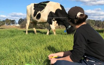 Rare opportunity for aspiring dairy researchers
