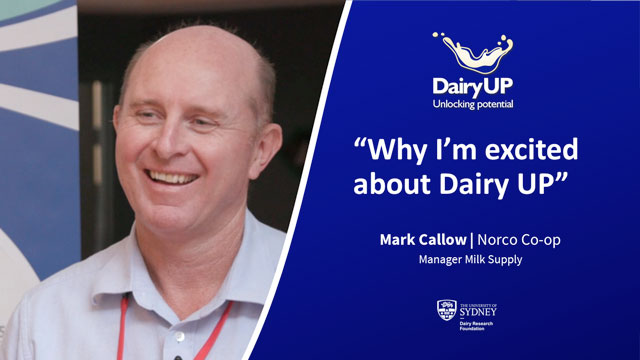 Mark Callow on Dairy UP
