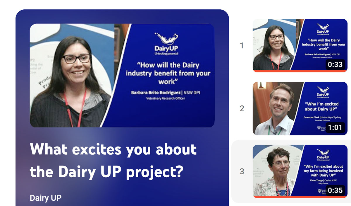 Dairy UP Project P2